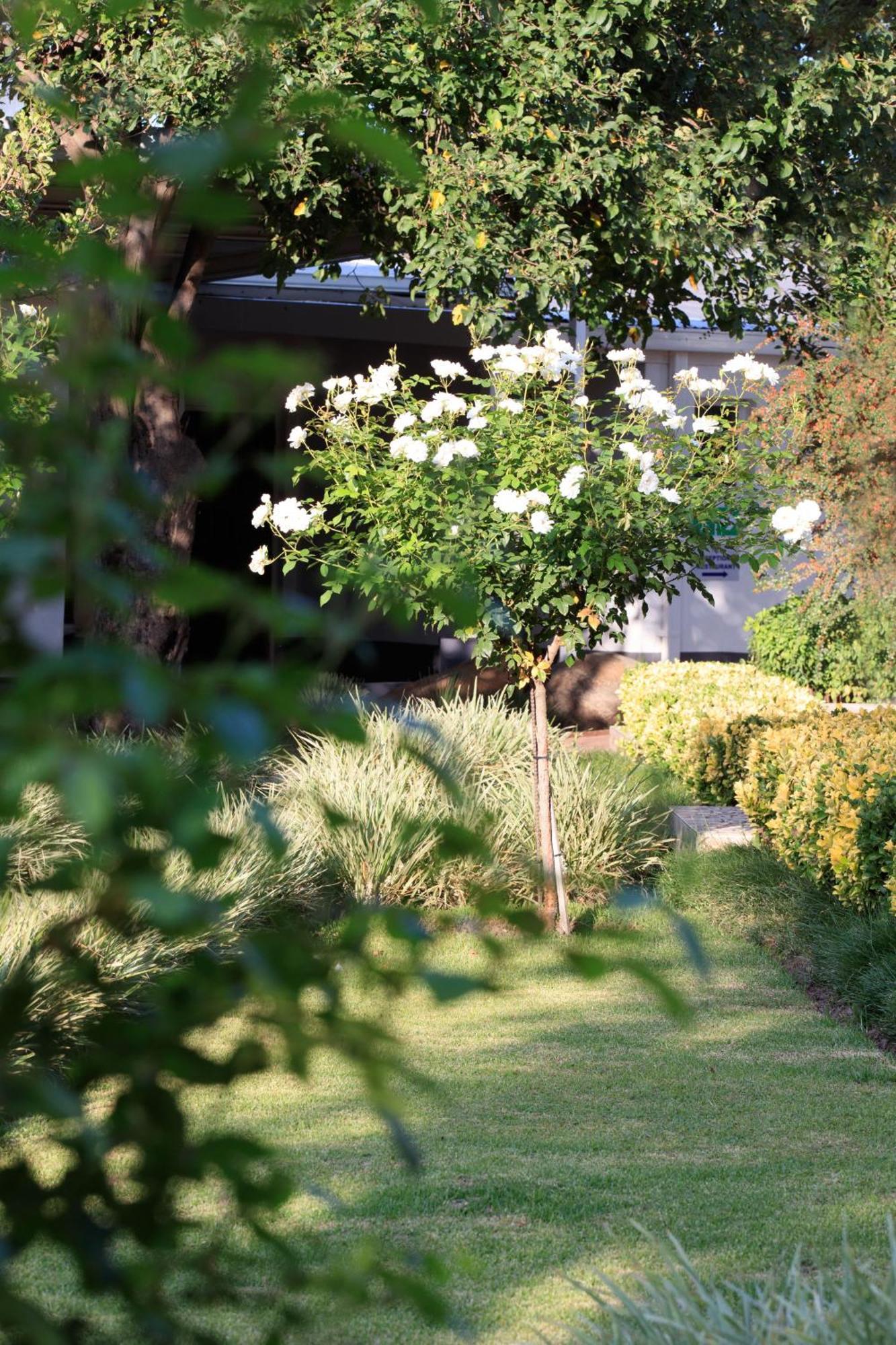 קוקסטאד Mount Currie Inn מראה חיצוני תמונה